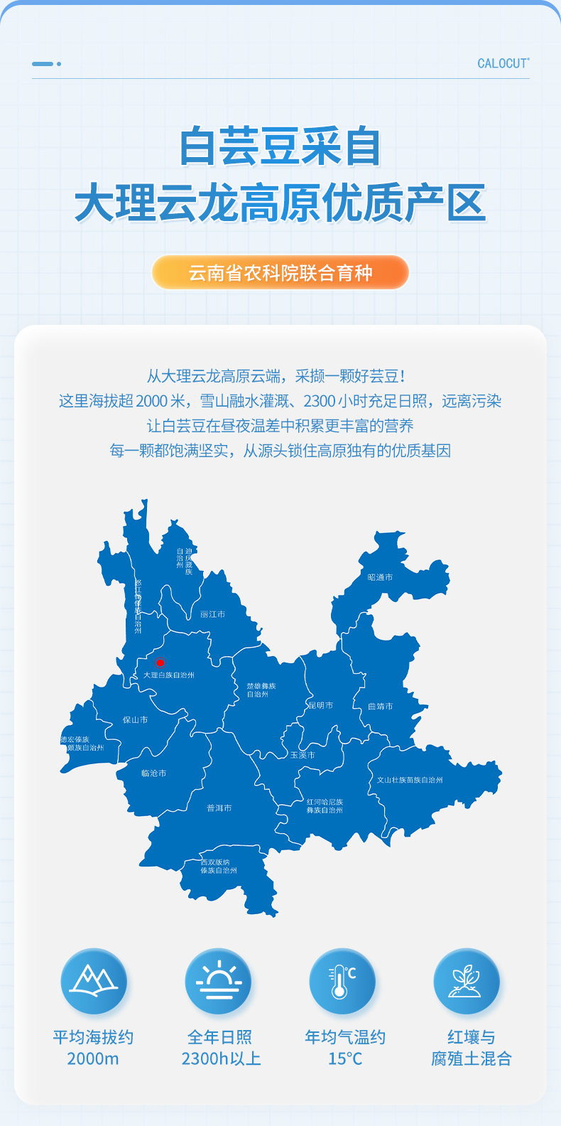 白芸豆压片糖果_09.jpg