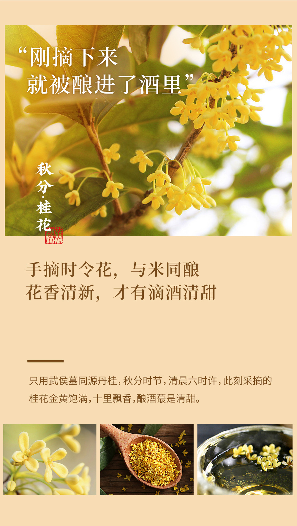 线下桂花10度_03.jpg