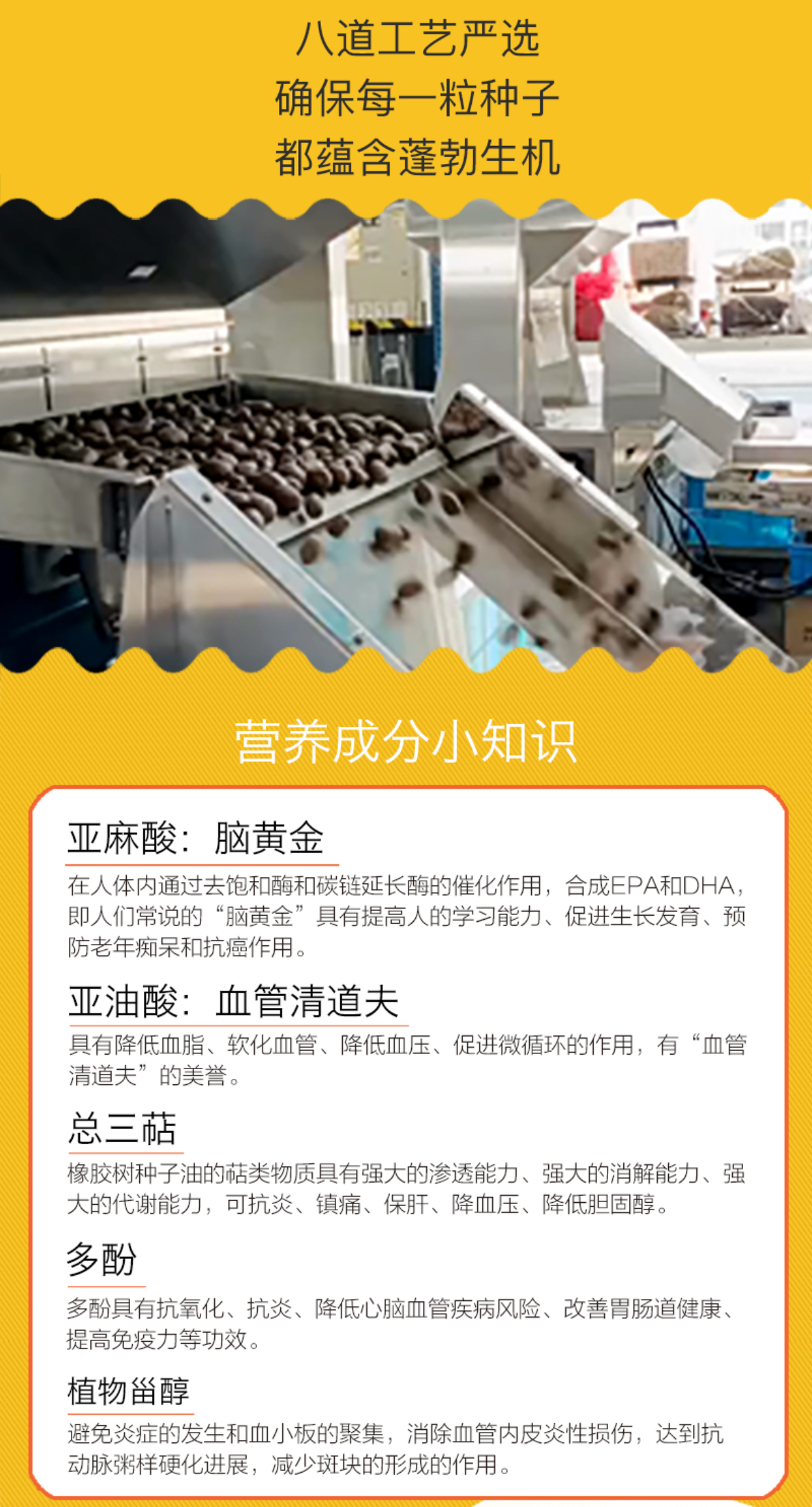 微信图片_20251215203847_12_3.jpg