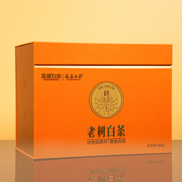 2024年雪后老树白茶