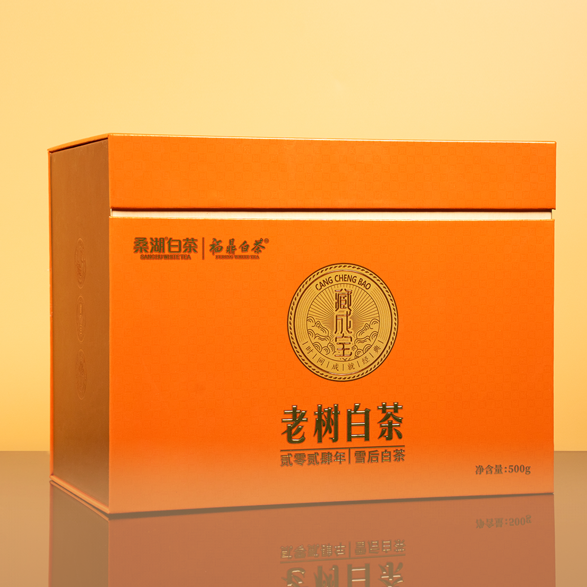 2024年雪后老树白茶